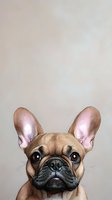 Adorable French Bulldog puppy with large ears and expressive eyes peeks from bottom of frame against neutral background, creating playful peek-a-boo composition.