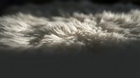 Soft white fur texture with natural fibers creating cozy warmth for fashion design backgrounds and luxury material concepts.