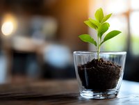 Young green plant growing in glass with soil, shallow depth of field background. Concept of growth, sustainability and environmental care.