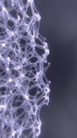Abstract purple foam bubbles with intricate cellular structure and glowing highlights on gradient background for science and technology concepts.