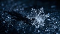Single delicate snowflake crystal with intricate hexagonal pattern resting on dark textured surface with water droplets for winter seasonal designs.
