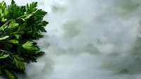Fresh green parsley bunch on textured white surface with soft natural lighting for culinary and cooking projects.