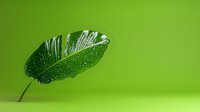 Fresh green tropical leaf with water drops on vibrant green background, minimalist nature composition for wellness, spa and eco-friendly concepts.
