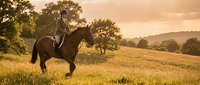 Young woman rider on dark horse in golden countryside field during warm sunset light with rolling hills and oak trees creating peaceful equestrian scene.