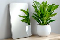 Green tropical plant in white ceramic pot next to minimalist rectangular mirror on wooden shelf against light gray wall, modern home decor styling.