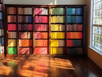 Colorful rainbow bookshelf with books arranged by color spectrum from red to blue, sunlight casting dramatic shadows through window on wooden floor.