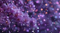 Purple lilac flowers blooming in spring garden with magical bokeh lights background for romantic wedding decoration and floral design projects.