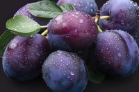 Fresh ripe purple plums with water drops and green leaves on dark background, macro shot. Perfect for food packaging, healthy eating blogs and recipe websites.
