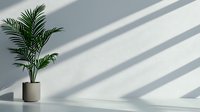 Green palm plant in beige ceramic pot against white wall with dramatic diagonal shadow lines creating minimalist modern interior design composition.