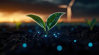Young green plant seedling growing in soil with glowing magical sparkles at sunset, wind turbine silhouette in background symbolizes sustainable energy and growth.