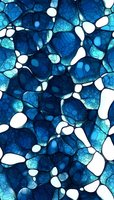 Abstract blue and white organic pattern with cellular structure and cracked texture effect creates dynamic flowing composition for modern design backgrounds.