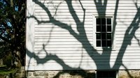 Tree shadow cast on white wooden house siding with window creating natural patterns and textures on exterior wall during sunny day.