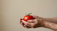 Senior man with weathered hands holding fresh ripe tomato against neutral background. Suitable for health, nutrition, organic farming, and wellness content.