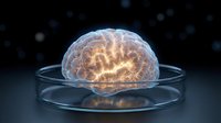 Glowing human brain with neural activity on glass petri dish against dark background with floating particles for medical research and neuroscience concepts.