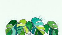 Tropical monstera leaves border with vibrant green foliage on light background for summer design projects and botanical decorations.