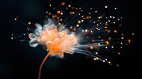 Glowing orange dandelion seed head with luminous particles and light trails against dark background, creating magical nature macro photography effect.