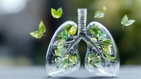 Glass lungs filled with green leaves and butterflies symbolizing fresh air, nature, and respiratory health against blurred background with floating emerald butterflies.