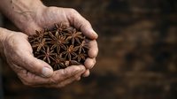 Handful of star anise spices held in weathered male hands over rustic wooden surface, showcasing natural dried seeds for cooking and culinary use.