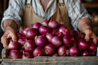 Fresh red onions in wooden crate held by farmer in apron and checkered shirt, showing organic harvest from local farm, close up view of vibrant produce.