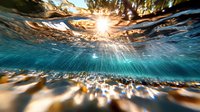 Underwater split view with sun rays penetrating crystal clear turquoise water surface, creating magical light beams and reflections in tropical ocean depths.