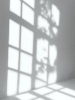 Dramatic window shadows cast geometric patterns on white wall and floor creating minimalist interior lighting effect for modern design projects.