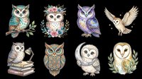 Owl character collection featuring eight decorative bird designs isolated on transparent background, ready for t-shirt printing, stickers, clipart, sublimation and print-on-demand products.