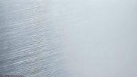Brushed metal surface with fine linear texture creating elegant industrial background for modern design projects and contemporary presentations.