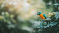 Orange-breasted tropical bird with turquoise feathers perched on green leaf against soft bokeh background, wildlife photography composition for nature prints.