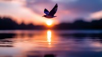 Bird flying over calm water at sunset with golden sun reflection, suitable for nature, wildlife, and inspirational design projects.
