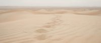 Footprints in golden desert sand dunes creating a winding trail across vast arid landscape under soft natural lighting for travel and adventure concepts.