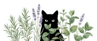 Black cat silhouette surrounded by lavender, rosemary, and mint herbs on white background. Isolated design element suitable for t-shirts, prints, and crafts.