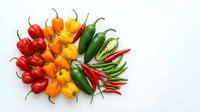 Assorted fresh chili peppers in red, orange, yellow, and green varieties arranged on white background, suitable for food and culinary design projects.