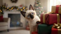 Siamese kitten with dark points sitting among wrapped holiday gifts in festive living room with decorated tree and garland.