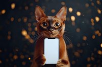 Abyssinian cat holding blank smartphone screen against dark background with golden bokeh lights, modern pet technology concept for social media and apps.