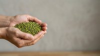 Caucasian male hand holding fresh green mung beans against neutral background, suitable for food, agriculture, nutrition, and healthy eating content.