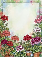 Watercolor geranium flower border frame with potted plants and colorful blooms on textured background for greeting cards and invitations.