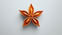 Star anise spice on gray background with soft shadow, aromatic dried fruit in shape of five-pointed star, isolated macro food photography for culinary design.
