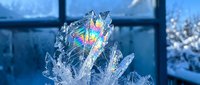 Iridescent ice crystal formation glowing with rainbow colors against a frosty winter window, capturing the magic of frozen nature in cold blue light.