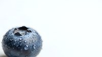 Fresh blueberry with water droplets on white background. Healthy organic fruit for nutrition and wellness concepts.