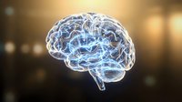Glowing transparent brain with electric neural networks and synaptic connections on warm bokeh background for medical neuroscience and artificial intelligence concepts.