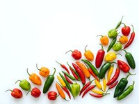 Colorful fresh chili peppers and bell peppers arranged on white background, isolated for culinary, cooking, recipe, and food design projects.