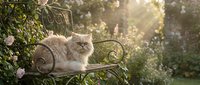 Fluffy long-haired cat resting on ornate garden bench surrounded by lush green foliage and sunlight, perfect for pet and nature themes.