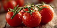 Fresh ripe red tomatoes on vine with water droplets on rustic wooden surface for healthy cooking and organic farm produce concepts.