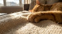 Ginger cat relaxing on beige carpet near window, close-up of paws and fur, domestic pet lounging indoors for lifestyle and animal content.
