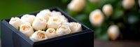 Elegant white roses arranged in black gift box with soft bokeh background creating romantic atmosphere for special occasions and celebrations.