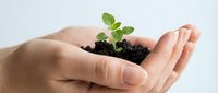 Person holding young seedling with soil in open palm, symbolizing growth, environmental care, and sustainable development for eco-friendly projects.