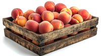 Fresh ripe peaches in rustic wooden crate isolated on white background. Farm fresh organic fruit harvest in vintage box for market or grocery store display.