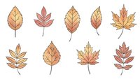 Autumn leaves collection with warm orange yellow brown colors isolated on white background for seasonal design projects and fall decorations.