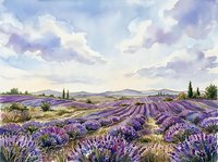 Lavender field landscape with rolling hills, cypress trees, and dramatic cloudy sky in watercolor style, suitable for wall art, travel themes, and nature-inspired home decor.