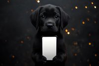 Black Labrador puppy holding blank white smartphone screen against dark background with golden bokeh lights, mockup for app or mobile design presentation.